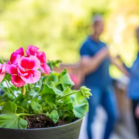 Der Hochsitz 아파트